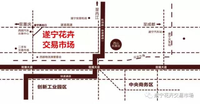 遂宁花卉批发市场,遂宁绿植花卉市场在哪里啊