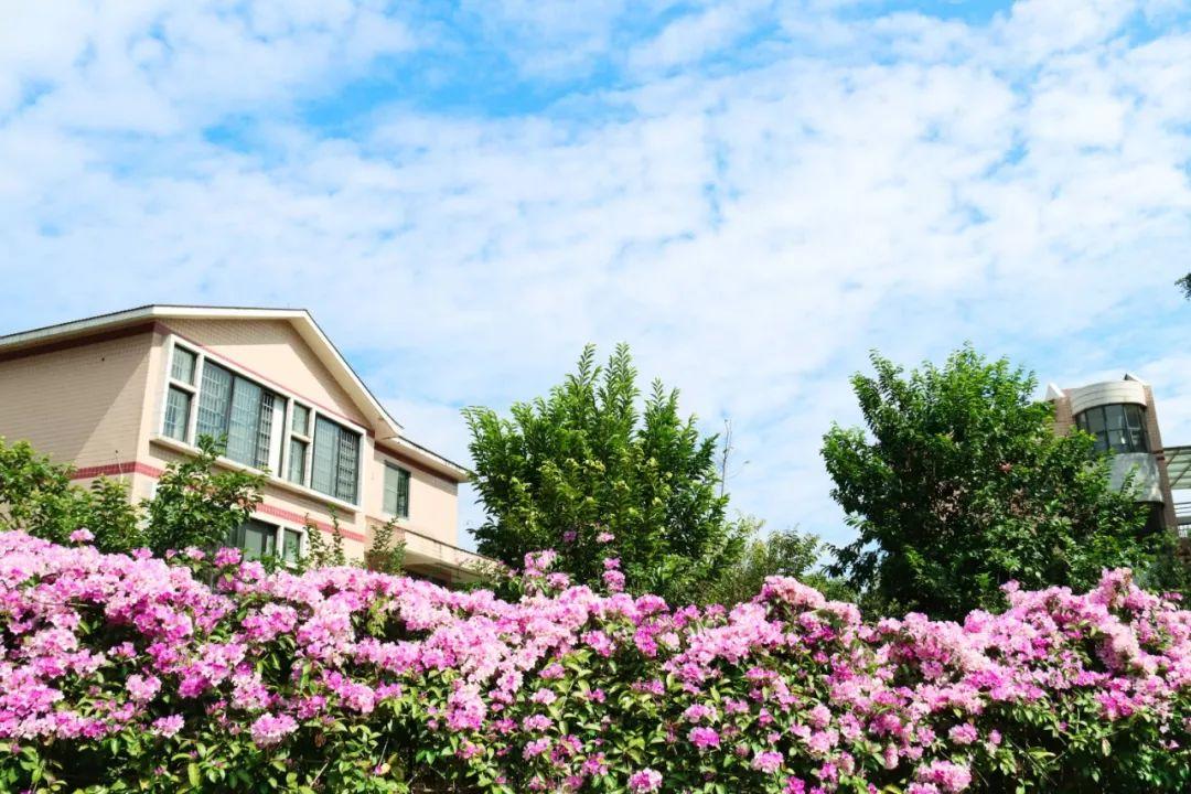 盘点那些美丽的校园时光,盘点那些美丽的校园