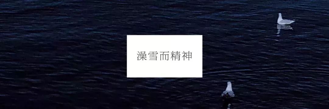 喜欢雪小禅的句子,雪小禅世间最美的相遇