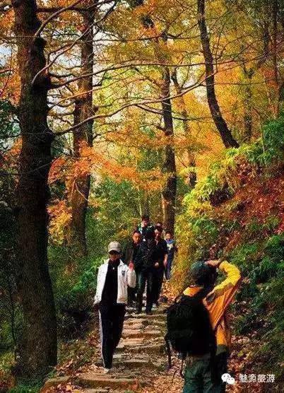 鍚勮矾鑻遍泟濂芥眽榻愯仛浜庢鐗囨,鍚勮矾鑻遍泟濂芥眽榻愯仛鍦ㄦ