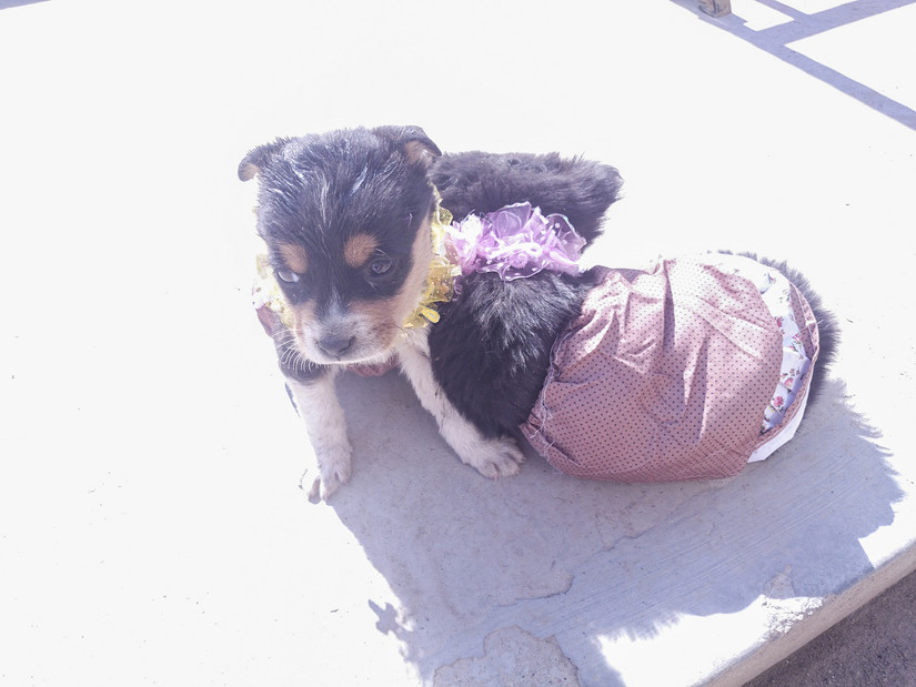 嘿！让我来说说我的旅途