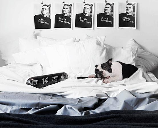 家居必备10款好物,10款过年必备的居家好物