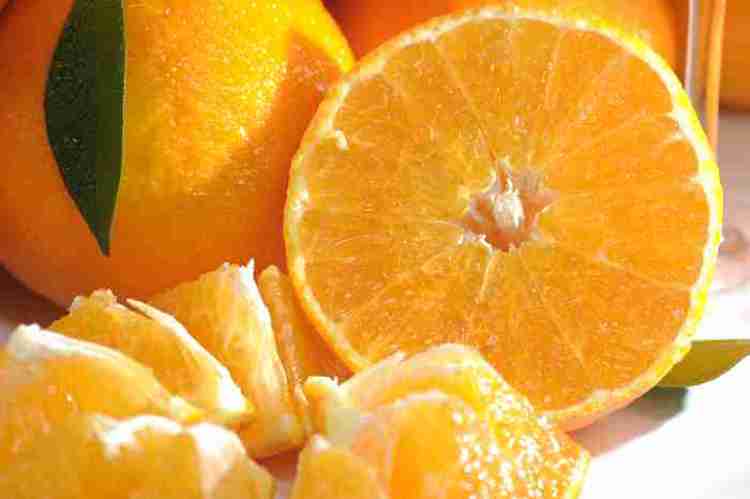 一年一度的农展会,近期农展会