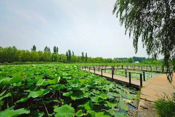 北京平谷区地铁最新情况,2025北京规划平谷地铁线路图