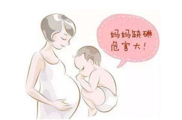 美国孕妇食物指南,新西兰妈妈们的孕期营养攻略