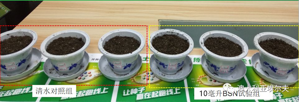 霍博士钙镁肥,霍博士拌种肥用法用量