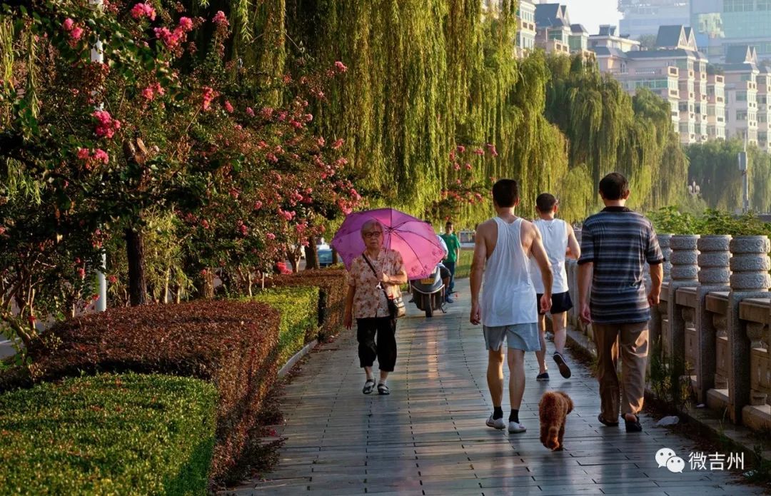 文明城魅力无限,吉安评文明城市