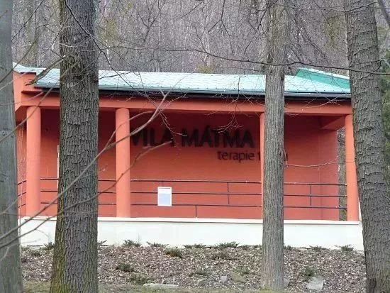 你没听过的西方“黑暗疗法”：竟拯救过1060万病人