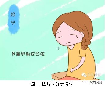 辅助多囊卵巢患者受孕的中成药 (治疗多囊卵巢综合症的中成药)
