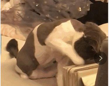 每日一笑你觉得哪个更好笑,每日一笑差距