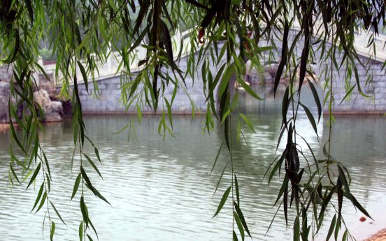 最新通报！衡水这些单位、小区获省级命名，看在你家旁边吗？