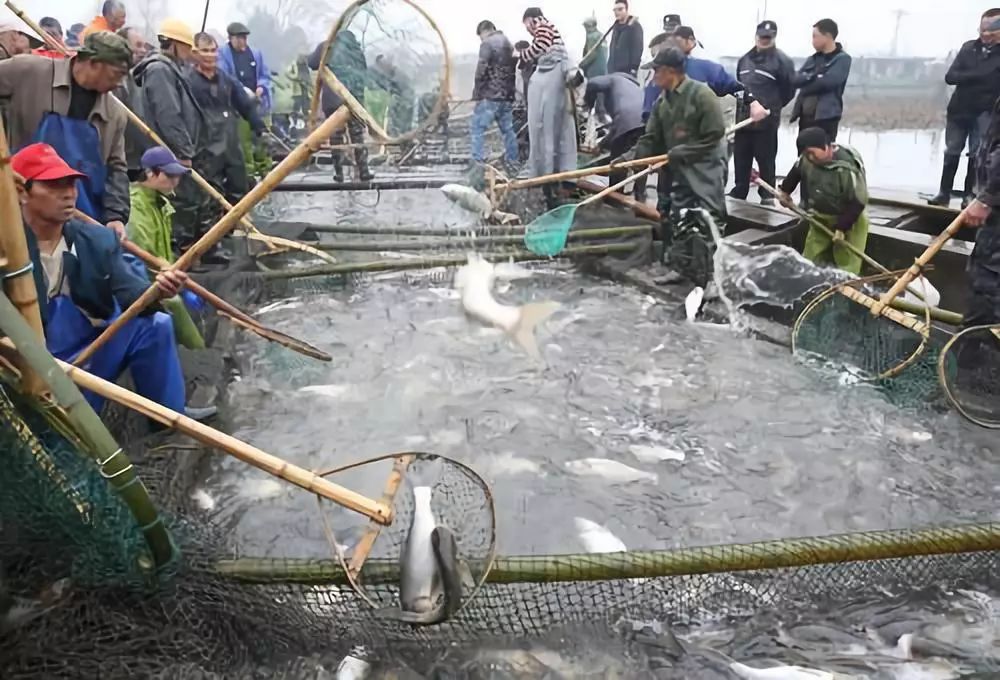 这里是安徽,这里是新安