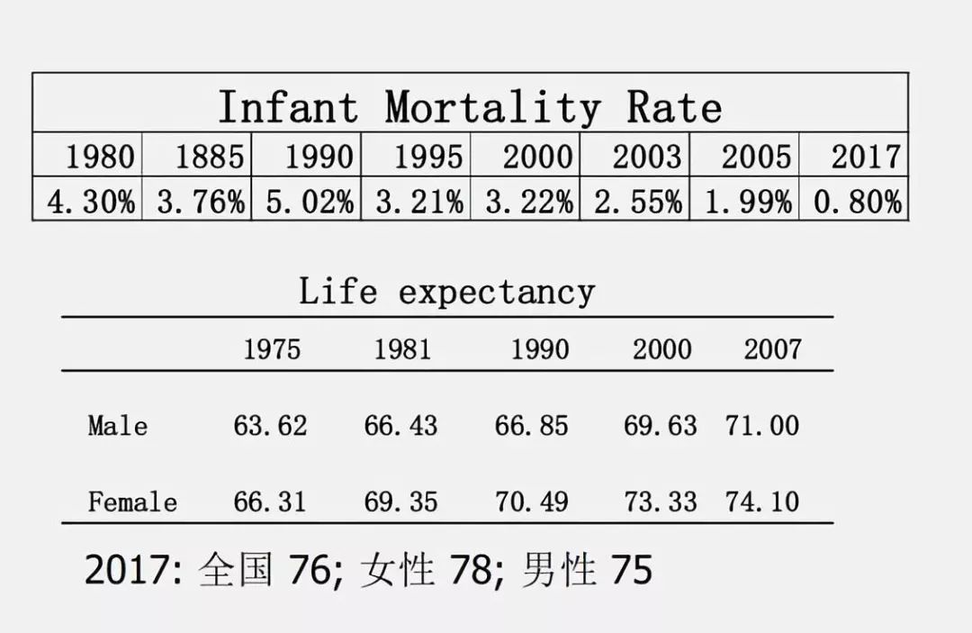 李稻葵国外,李稻葵中国2050