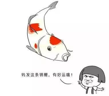 8大网络用语你知道几个,10个网络用语