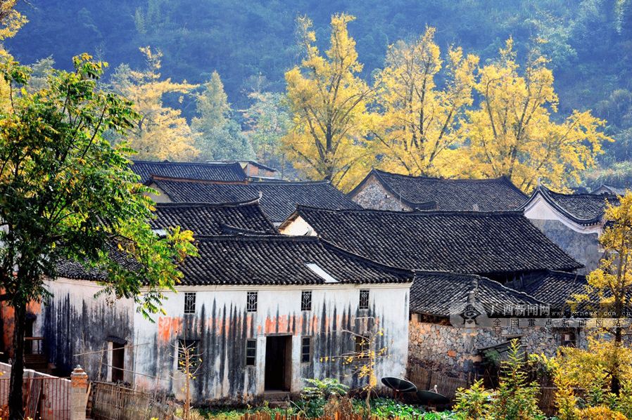 一男子被500只毒蜘蛛咬死,男子被剧毒蜘蛛咬了后竟然没事