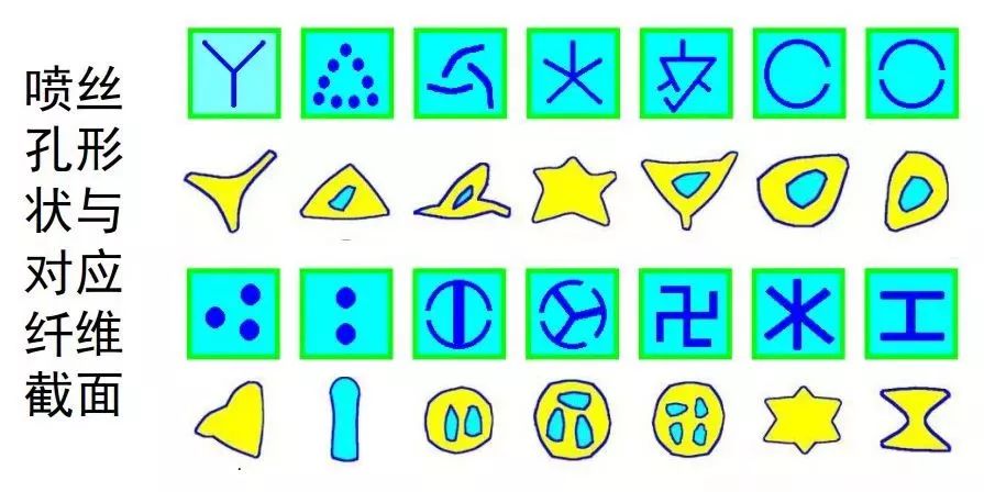 涤纶横向形态,涤纶最初是怎么推广的