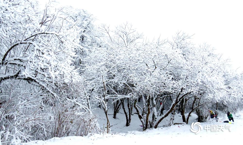 四川西岭雪山远观,成都西岭雪山美成童话世界