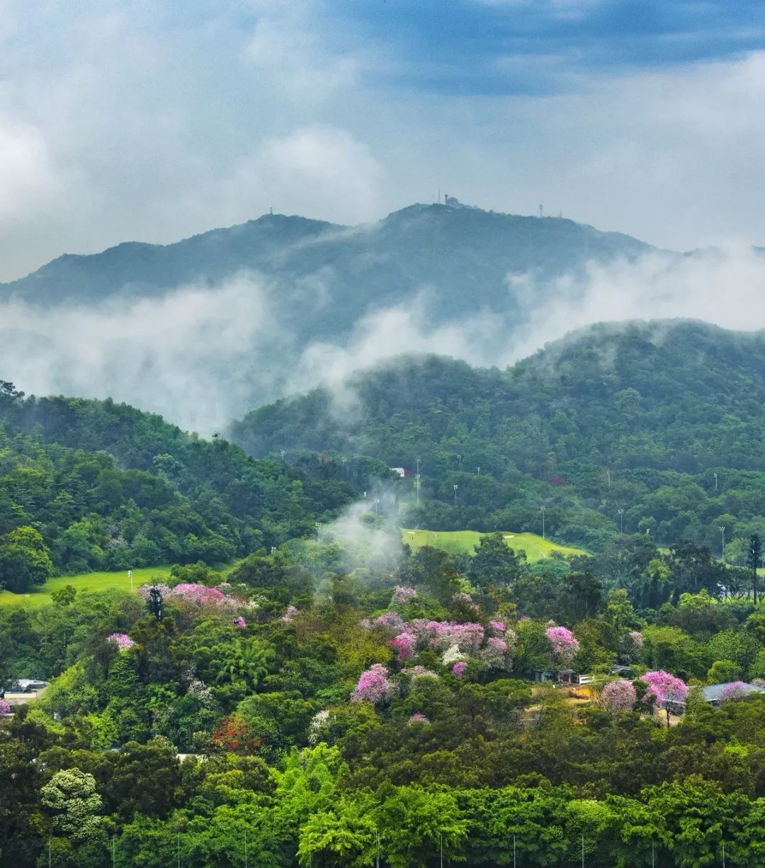 广州白云区登高,重阳登高注意事项