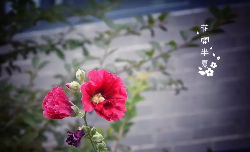 摄影学会了能拍什么,摄影到底应该拍什么