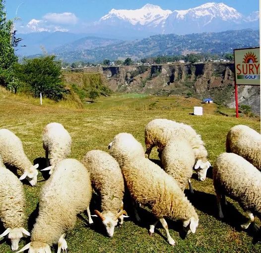 海拔最高的高尔夫球场,世界上海拔最高的高尔夫球场