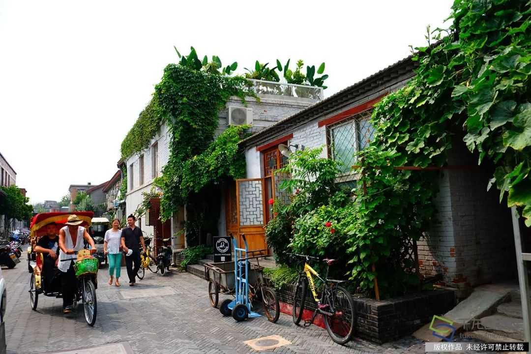 眼里只有南锣鼓巷、国子监？北京最新10条高颜值街巷在这呢
