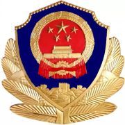 观看电影《片警宝音》观后感,片警宝音影评