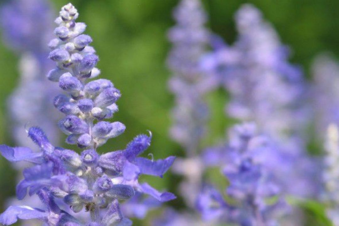 异地恋遇到姐弟恋,怎么维持异地恋和姐弟恋