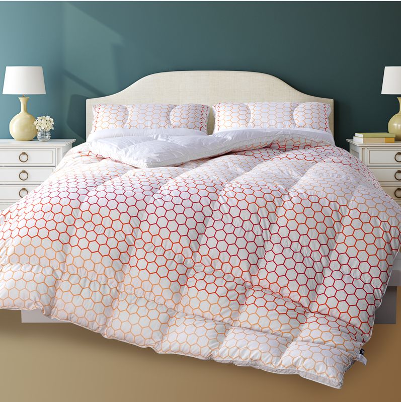 团｜《艾特熊和赛娜鼠》屡获国际大奖的温暖绘本+艺术儿童启蒙日历，爸爸陪娃的神器+用44只东北大白鹅，才攒出1床的鹅绒被