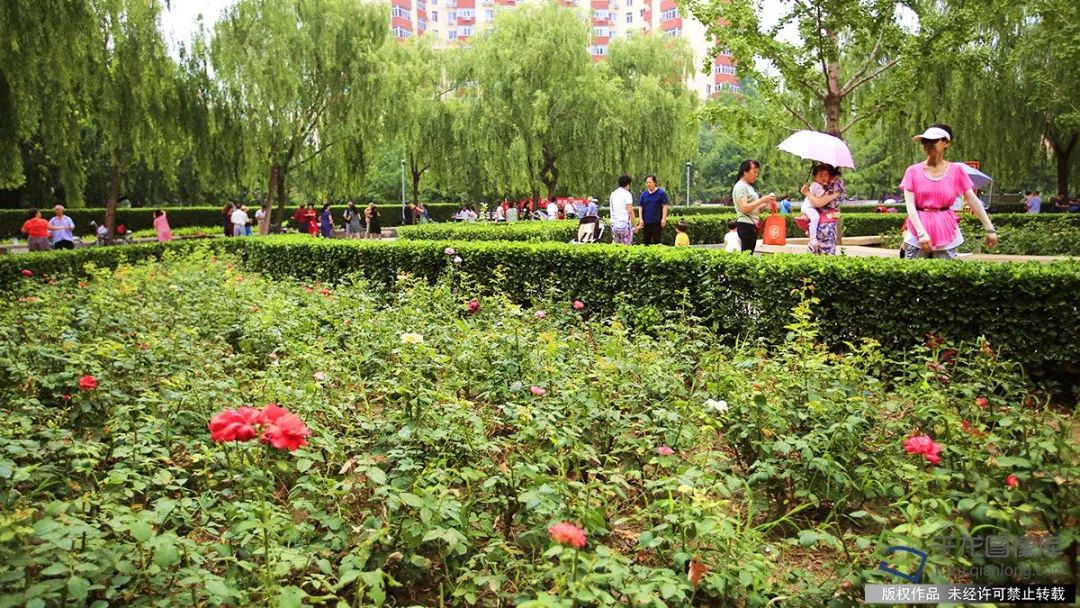 北京明年将再添25个公园,北京2019年新建公园