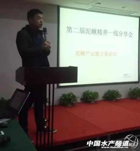 今天塘头50-60条泥鳅价格,泥鳅价格2022年塘头价