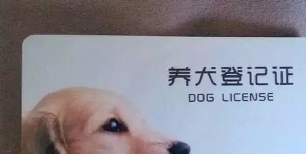 苏州养狗最新规定,苏州养狗新规范围