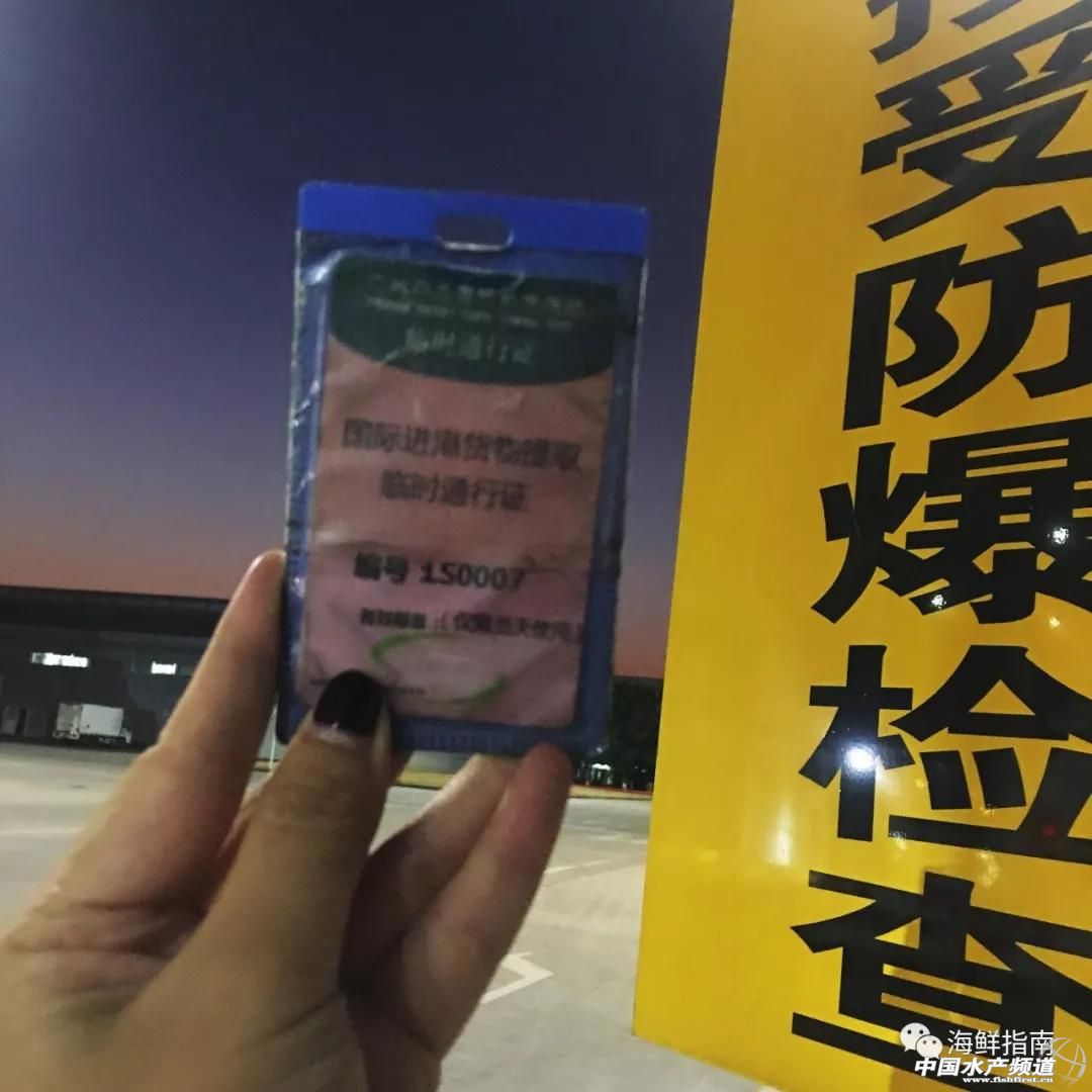 进口的三文鱼是新鲜的还是冷冻的,正宗挪威三文鱼购买渠道