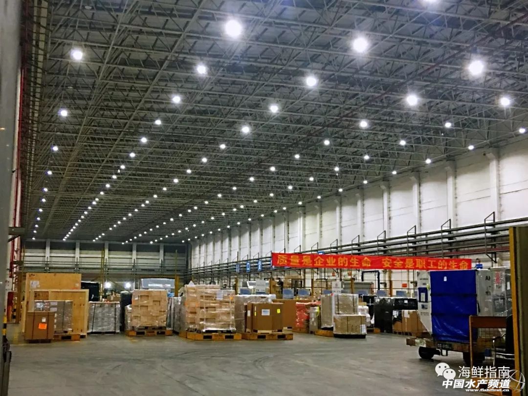 进口的三文鱼是新鲜的还是冷冻的,正宗挪威三文鱼购买渠道