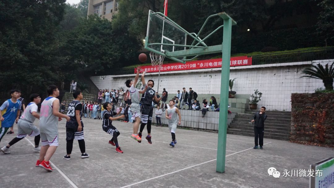 永川县特色学校,永川全部学校