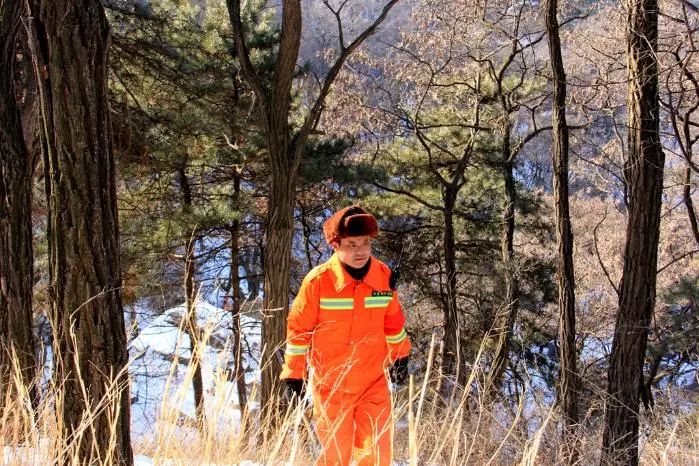 美丽中国绘画大赛获奖作品,美丽中国东北林业