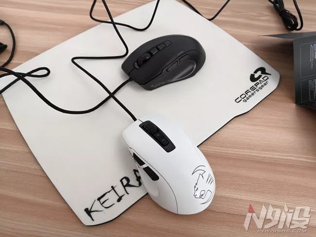 白冰豹子,黑冰和白冰视频