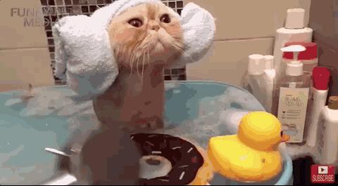 比香水还香的沐浴液,六款公认最好的沐浴露女士