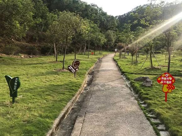 高明网红森林公园,佛山森林公园高明