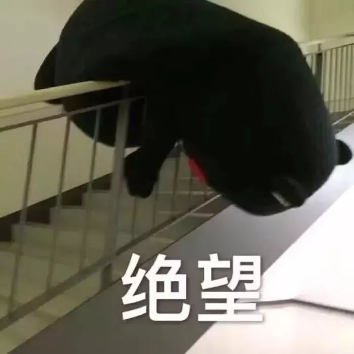 我们采访了10位购物爱好者：2018年他们买过最后悔的商品竟然是这些？！