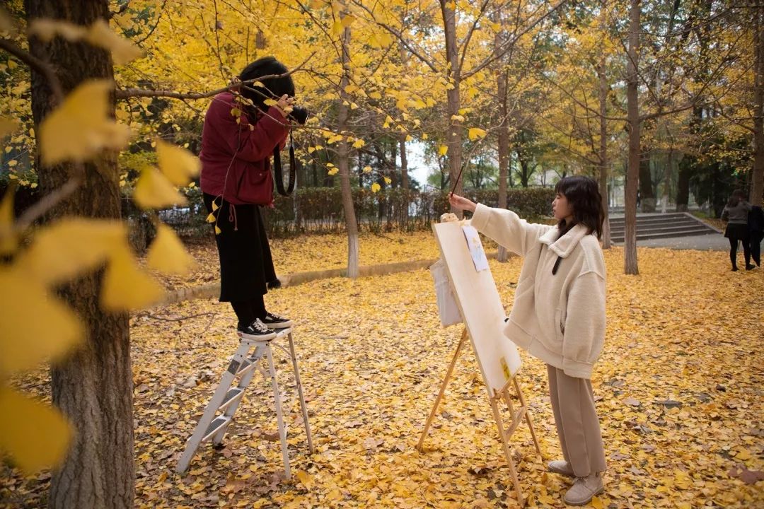 “妈，我在华师看了一场金黄色的雪！”