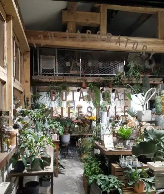 不用羡慕小S坐拥小姐姐花店，全球最美的7家花店还等你去打卡呐~