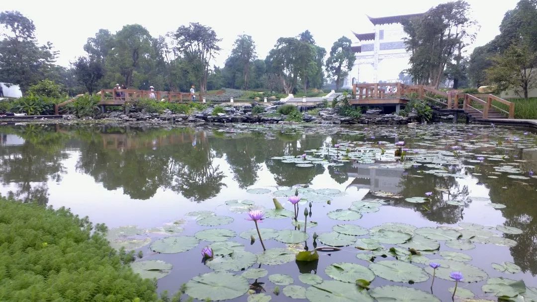 缘起海珠｜与你一起走过改革开放40年的海珠区