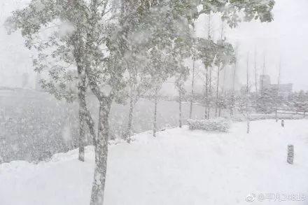 一个石首吧友的新年梦