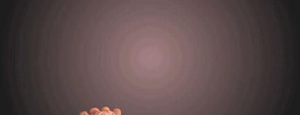 股市有风险小心被套牢,股票交易受风险警示