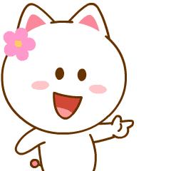 头条｜城市颜值增不停！市城管局精细化管理9大亮点出奇效！