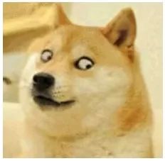 明天发货=tomorrowcanfa?微信上的代购竟然一夜间成了土味英语段子手