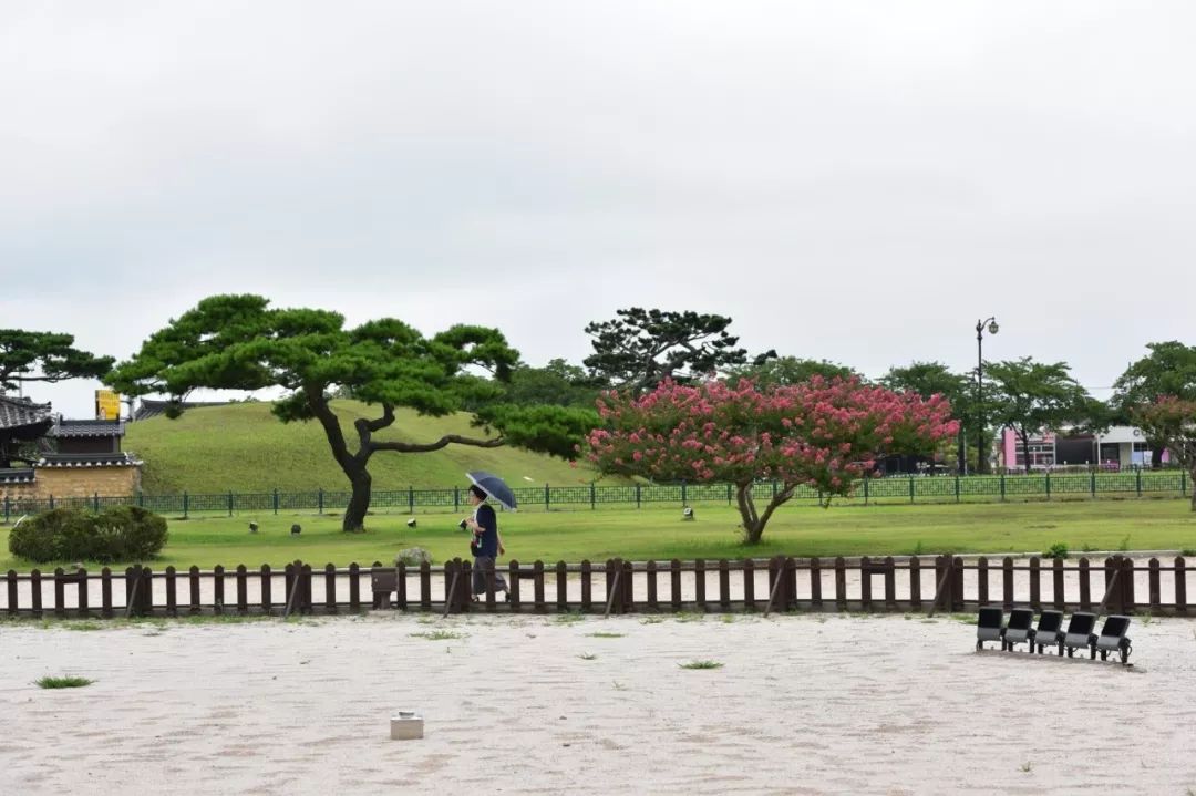 园林大讲堂｜清溪川：韩国人最引以为傲的生态改造项目