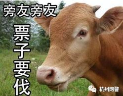 2020年春运购票避坑指南,猪事顺利牛气冲天面团购