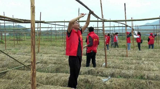 鏉戞皯鑴辫传鍠滅瑧棰滃紑,鏉戞皯鑴辫传鎯呭喌鍥剧墖