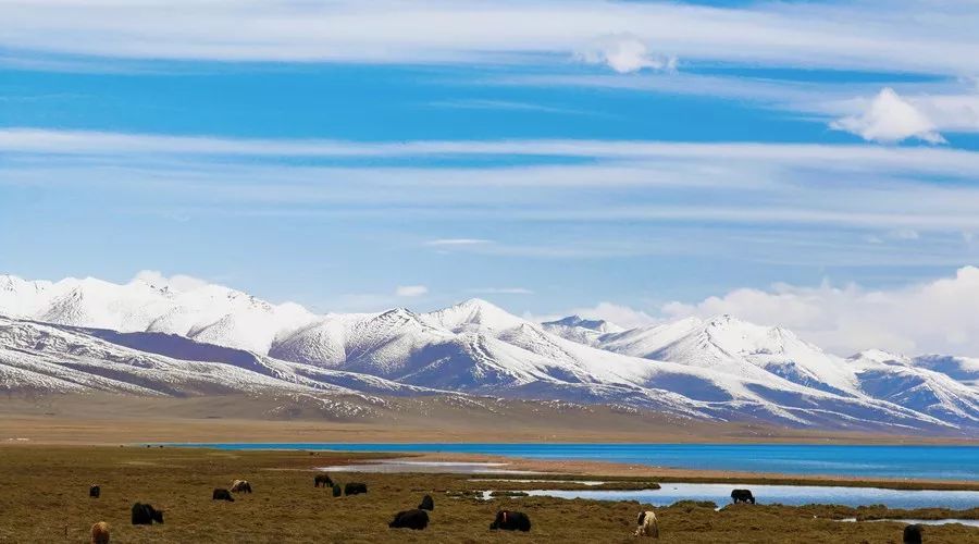 开心广西旅游攻略,广西免费旅游景点